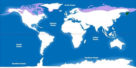 Tundra Biome World Map