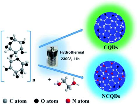 Hydrothermal Synthesis Of Nitrogen Doped Carbon Quantum Dots From