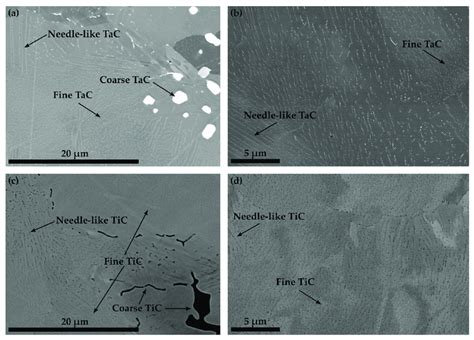 Bse Images Illustrating The Solution Treated Microstructure Of