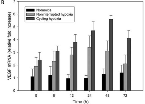 Effects Of Non Interrupted Hypoxia And Cycling Hypoxia On Hif 1 Signal Download Scientific