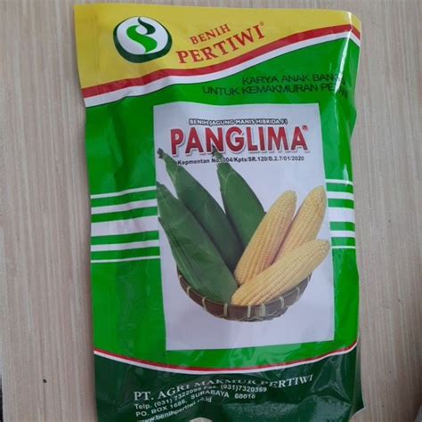 Jual Benih Jagung Manis Hibrida F1 PANGLIMA 1750 Biji Benih Pertiwi