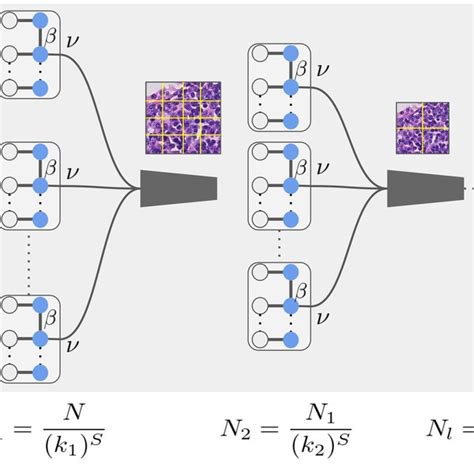 Pdf Locally Orderless Tensor Networks For Classifying Two And Three