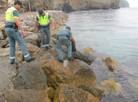 La Guardia Civil interviene 24 kilos de anémonas de mar capturadas