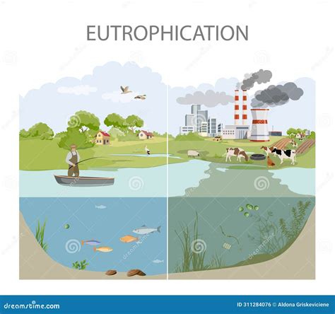 Eutrophication And Water Pollution Illustration Stock Photography