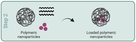 Formulation and loading of the polymeric nanoparticles. | Download Scientific Diagram