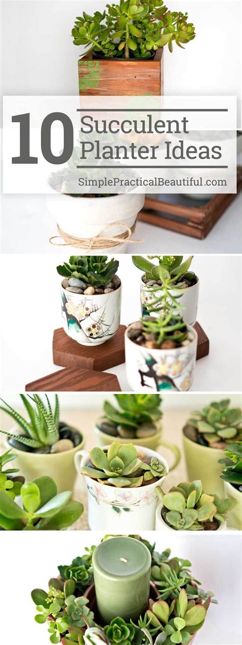 How To Make Your Own Diy Succulent Planter Ten Succulent T Ideas Succulents In Containers