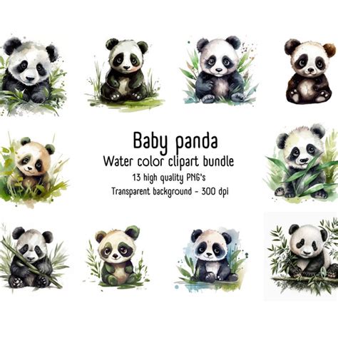 Panda Clipart Etsy Canada