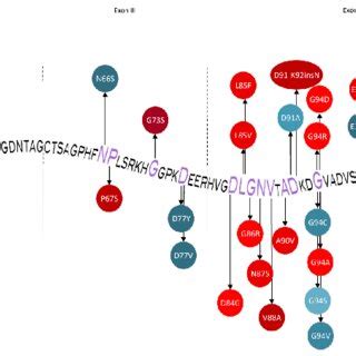 Representation Of Sod Mutations With Different Prognostic Impacts