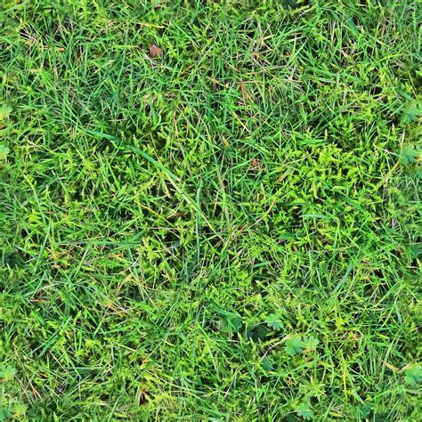 Photo Realistic Seamless Grass Texture In Hires With More Than 6