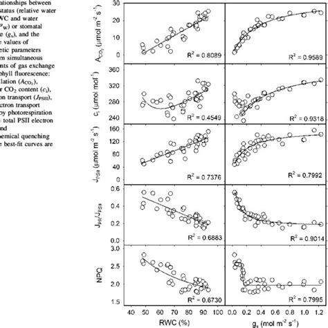 Relationships Between Leaf Water Status Relative Water Content Rwc Download Scientific