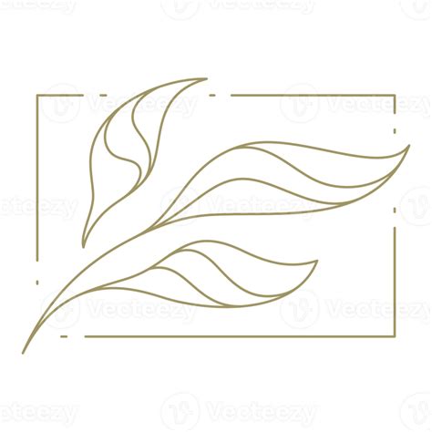 Flower In Rectangular Frame Line Art Design Element 48095697 Png