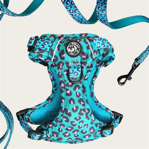 Pettorina 3 Clip E Guinzaglio Aqua Leopard Regolabile Piggy Pet