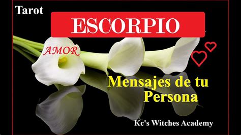 Escorpio ♏ ️💌 Mensajes De Tu Persona🥰 Tarot Horoscopo Scorpio Escorpio Youtube