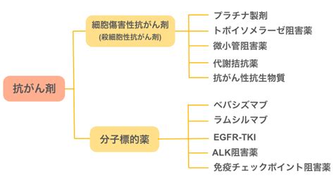 医師監修・作成 肺がんの治療方法は？ Medleyメドレー