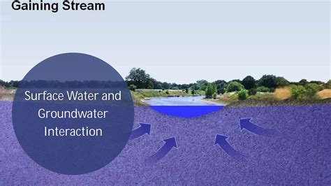 Surface Water And Groundwater Interaction Ppt