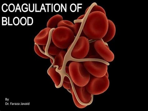 Mechanism of Blood Coagulation | PPT