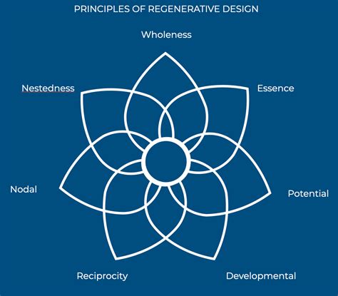 The Seven Principles Of Regenerative Design By Ernesto Van Peborgh