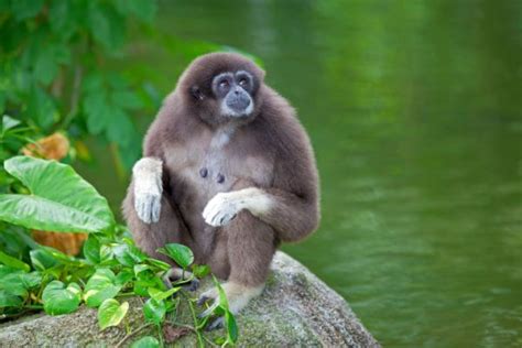 Indonesia Viaggio Tra Giava E Sumatra Viaggi Fantastici