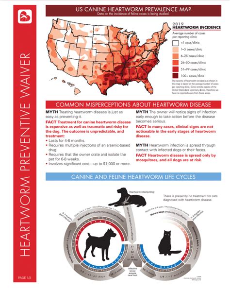 Importance of Year Round Heartworm Prevention | Lenexa Vet | Quivira ...