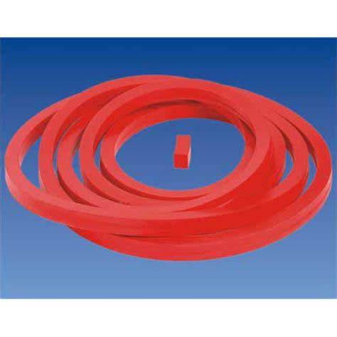 Silicone Autoclave Gasket At Best Price In Mumbai By Sd Polymer Id