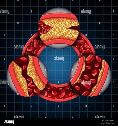 Arterie Corpo Umano Schema Immagini E Fotografie Stock Ad Alta