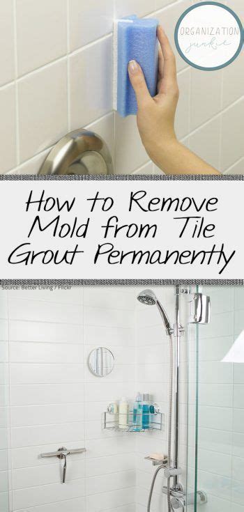 How To Remove Mold From Tile Grout Permanently Mold Remover Cleaning