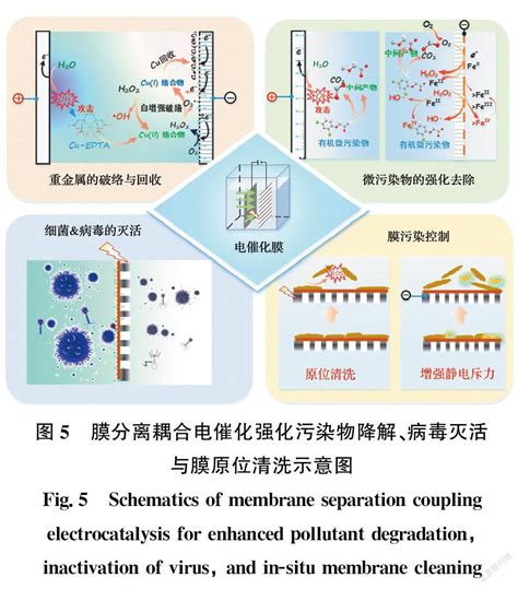 膜法污水处理技术研究应用动态与未来可持续发展思考参考网