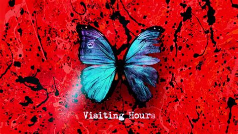 Ed Sheeran Visiting Hours Official Lyric Video YouTube