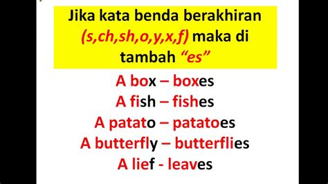 Contoh Kalimat Singular Dan Plural