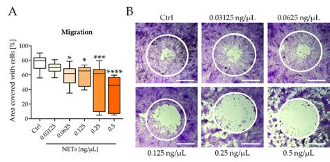 Nets Impaired The Migration Of Scp 1 Cells The Migration Of Scp 1