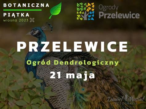 Przelewice Botaniczna Piątka wiosna 2023 w niedzielę 21 maja