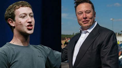 Envíame La Dirección Mark Zuckerberg Listo Para Pelear Con Elon Musk