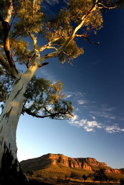 √ South Australia National Parks