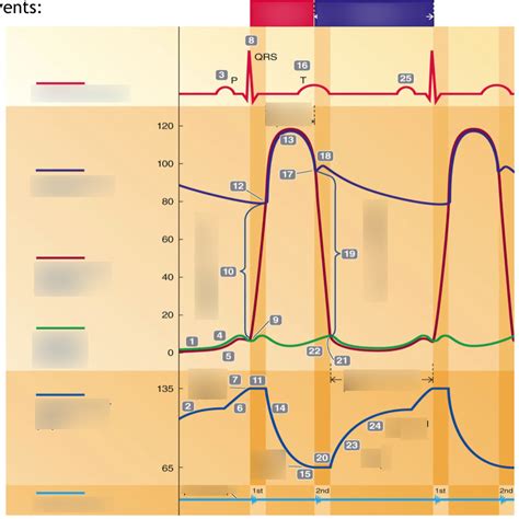 Ekg Chart Diagram Quizlet