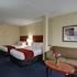 Pet Friendly Hotels Asheville NC | Dog Friendly Hotels Asheville | TripsWithPets.com