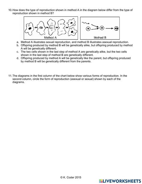 Sexual Vs Asexual Reproduction 4973987 Allen28 Live