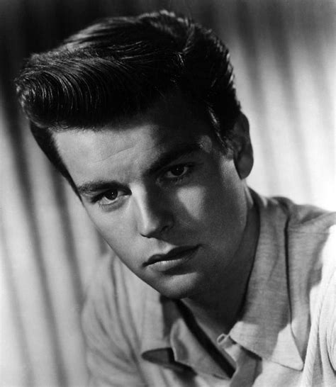 Robert Wagner 1950s By Everett Old Movie Stars Classic Movie Stars Hollywood Actor