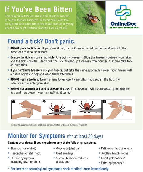 After Tick Bite Prophylaxis