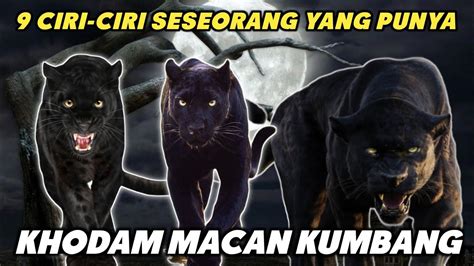 KHODAM MACAN KUMBANG YouTube