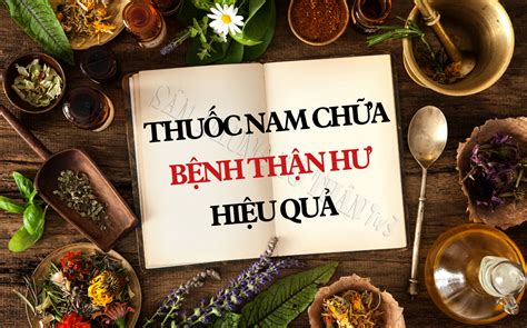 Cây Thuốc Nam Trị Thận Yếu Giải Pháp Tự Nhiên Hiệu Quả