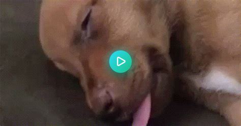 Waking Up With Peanut Butter  On Imgur