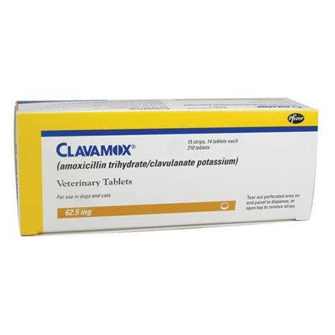 Clavamox L Antibiotic For Pets Medi Vet