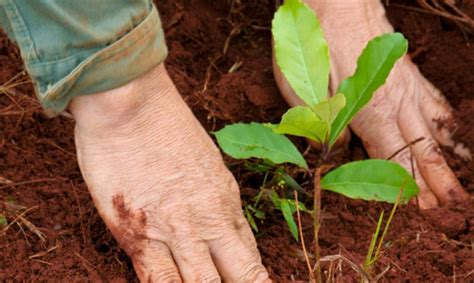 8 De Septiembre Día Del Agricultor Ivisión Tv