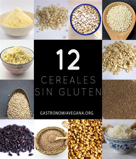 12 Cereales Y Semillas Sin Gluten Gastronomía Vegana Gastronomía