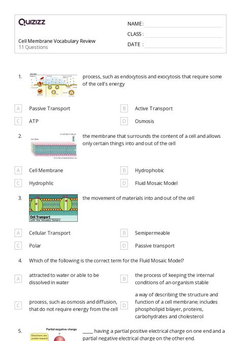 Membranes And Transport Worksheets On Quizizz Free Printable