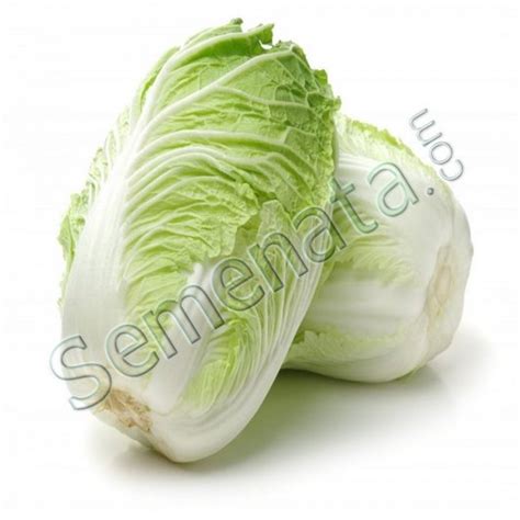 Маноко (Manoko)