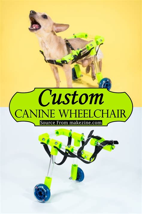 DIY Dog Wheelchair Plans & Tutorials for Mobility-Challenged Dogs