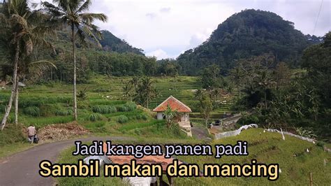 Matak Waas Dan Rindu Keindahan Sawah Di Kabupaten Kuningan Youtube