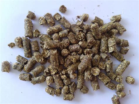 Susz Z Lucerny Pellet Kg Worek Oficjalne Archiwum