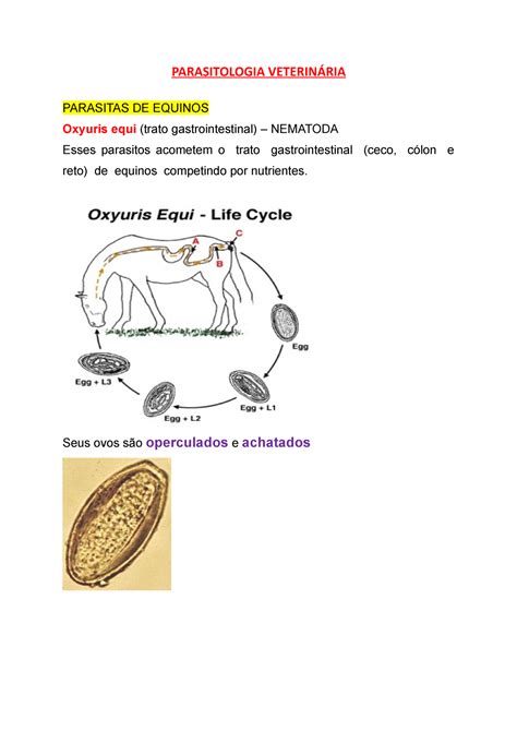 Parasitologia Veterin Ria Oxuryus Equi Parasitologia Veterin Ria